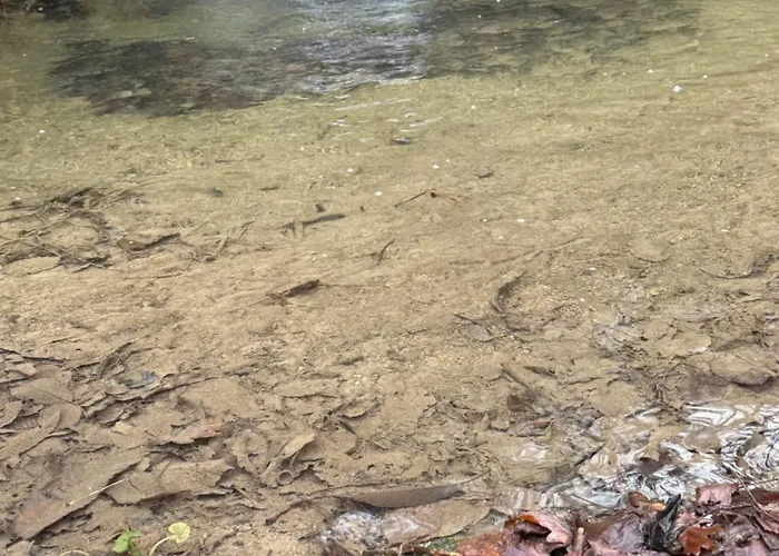 Сasa de vacaciones Maison De Village Montferrier